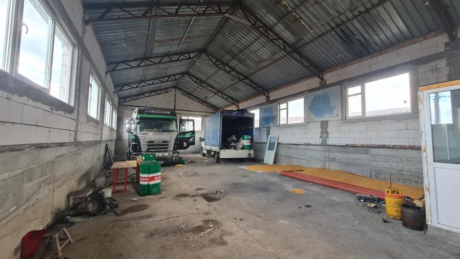 Hala Depozitare | Service Auto | Zona strazii Oasului - 1