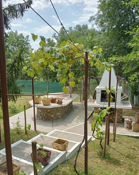 Casa spa?ioasa cu livada ?i vedere spre padure Fil - 3