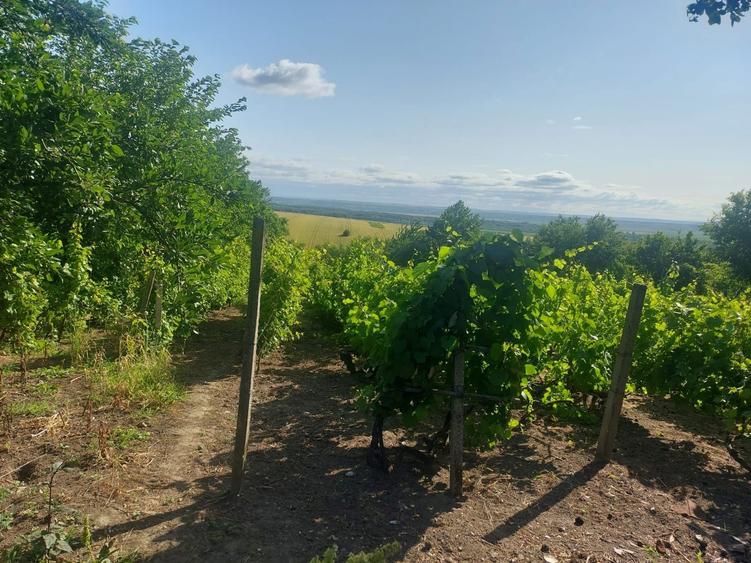 Casa de vanzare Ghermanesti - 6