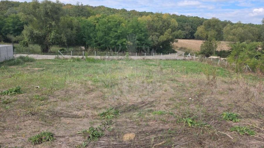 TEREN INTRAVILAN//COM. PLOPU//1300//2700 MP - 1