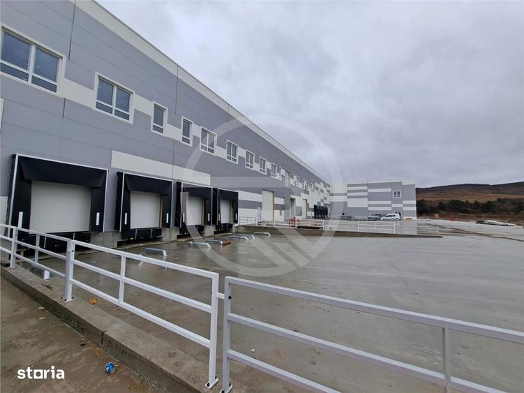 Hala de 1300 mp, Prima Inchiriere, situata in zona DN1, E60! - 4