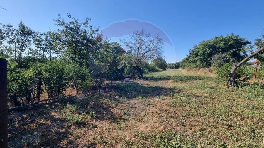 Teren intravilan de inchiriat  - 3.600mp Soseaua Unirii - Balotesti - 20