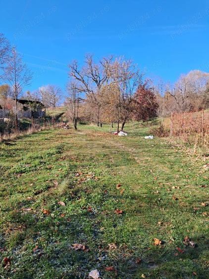 Vand casa de vacanta in Comuna Cotmeana, Sat Ursoaia, jud Arges - 2