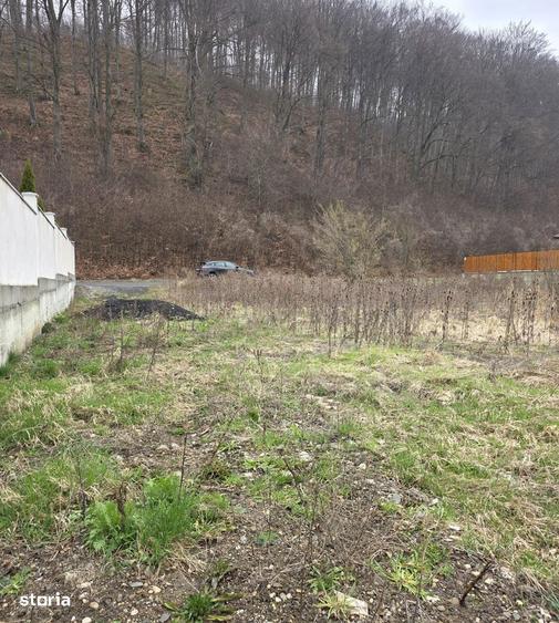 Teren intravilan intre case in Bunloc, langa padure 604 mp - 2