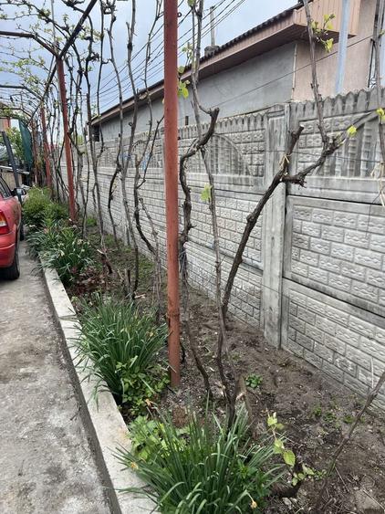 Casa de vanzare str Fermierului cartier Brestei - 2