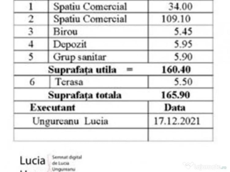 Sp.com-160,4mp+terasa-5,5mp+3parcari/8min pe jos metrou D... - 3