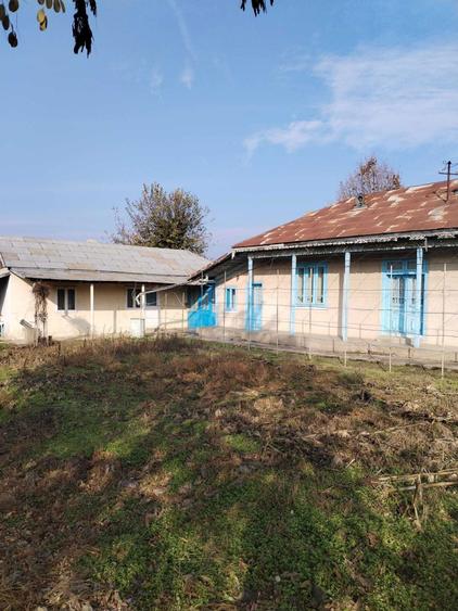 Casa in localitatea Jijila - 1