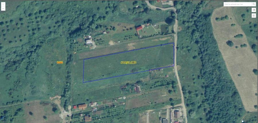 Teren 8.000 mp in Daia Noua / com. Rosia / jud. Sibiu - 6