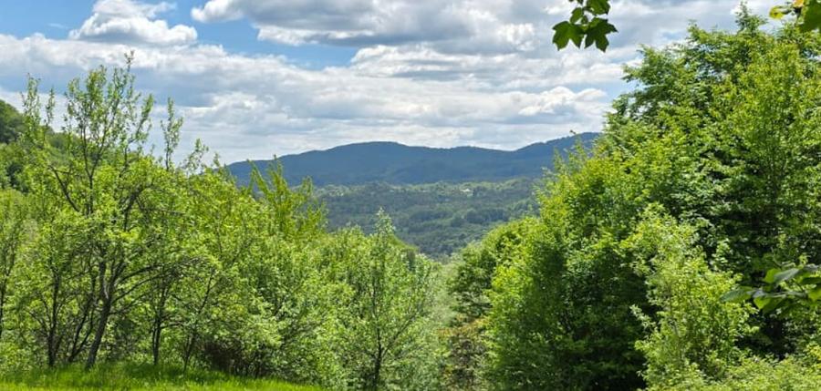 Vand Teren Arefu, Arges zona Cetatea Poenari (Vlad Tepes), Transfagarasan - 2