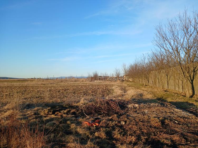 Teren 12.300 mp de vânzare Hărman – Podu Oltului, Brașov | 15 €/mp | Investiție - 1