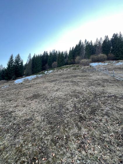 Teren de vanzare Campulung Moldovenesc, Izvorul Alb - 4