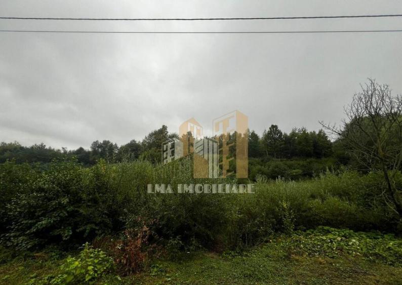 Teren intravilan Sinca Noua - 8