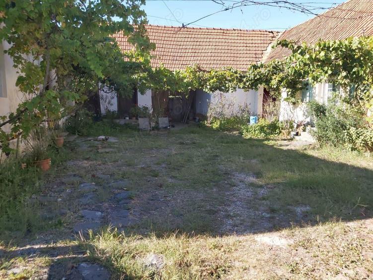 Casa de vanzare sat Babsa - 3