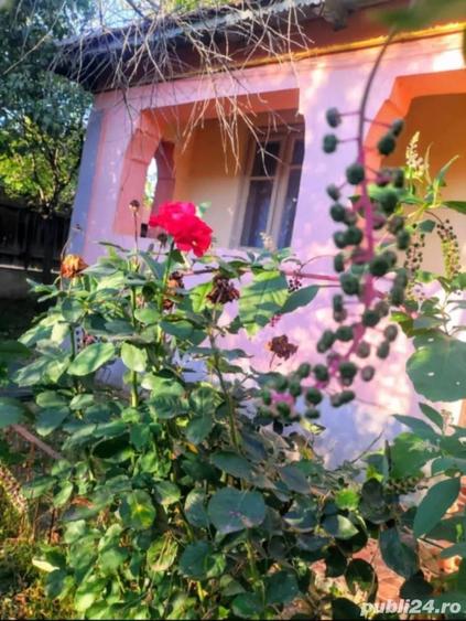 Vand casa in comuna Cioranii de Sus - Prahova, 34 m deschidere, teren 1000 m, toate utilitatile - 5