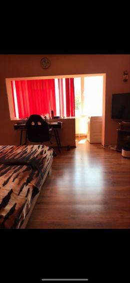 Proprieta vand ap 1 cam zona steaua linga mall - 4