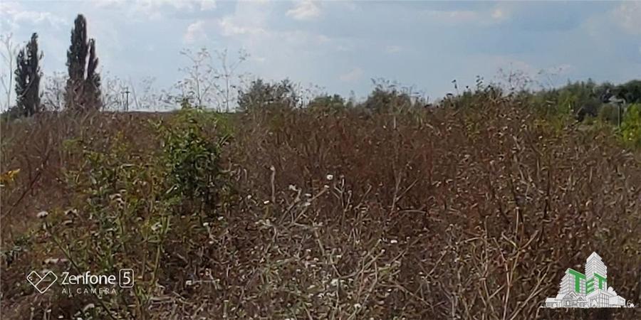 Teren intravilan de vanzare 28.200 mp Bucuresti Sector 6 - 7