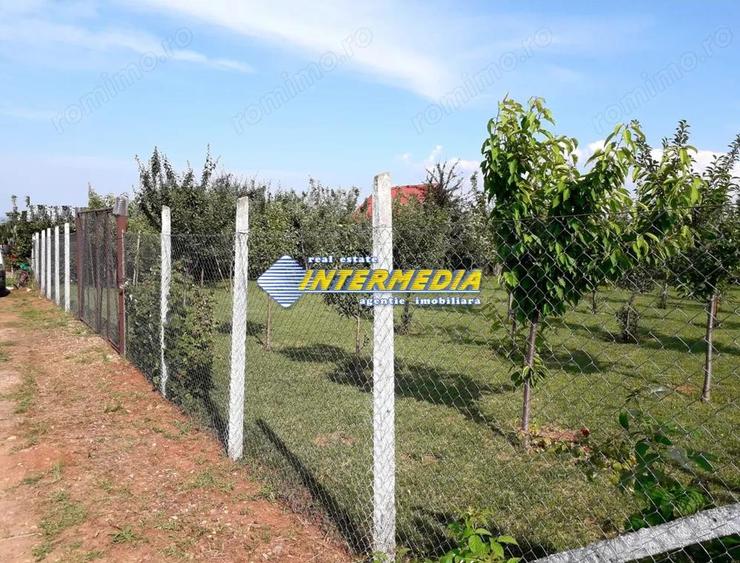 Teren Intravilan 481mp Alba Micesti - 3