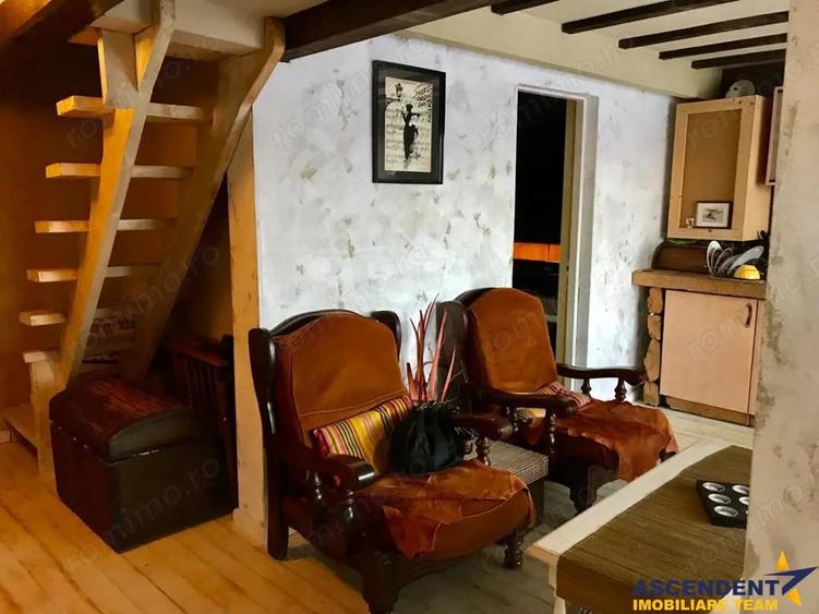 Pet friendly!FILM! In Bohemian Style,loc parcare,curte proprie,vedere panoramica,cartierul Troitelor - 38