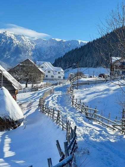 Inchiriez Casa de Sub Munte Fundata - 4