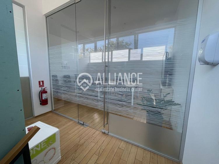 Bratianu/Inel 2(cod04)-Hala depozitare+birouri - 12