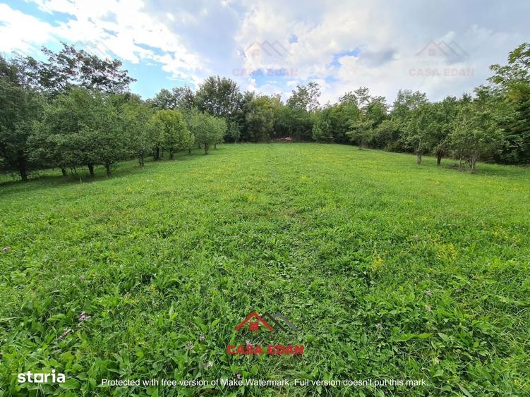 Teren intravilan in Poiana Campina zona retrasa 3287mp 10e - 6