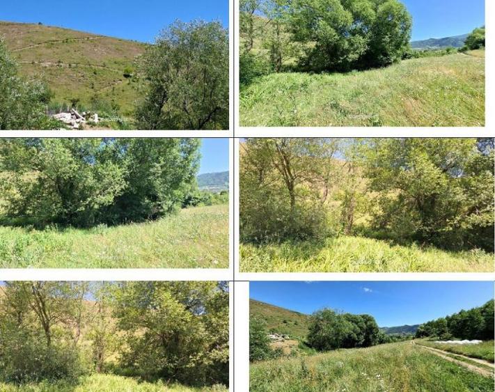 Teren 5000 mp, Loc. Sieu, Jud Maramures - 1