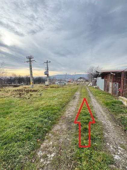 Hala 223 mp cu teren 600 mp, inchiriere/vanzare, Comanesti, jud. Bacau - 3