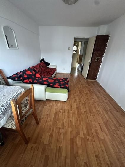 Apartament etajul 2 Baia de Arama - 4