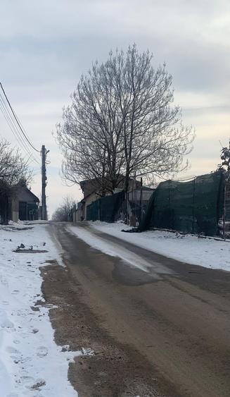 Vanzare suprafata compacta 35 000mp  Tarla 31 Petrechioaia - 8