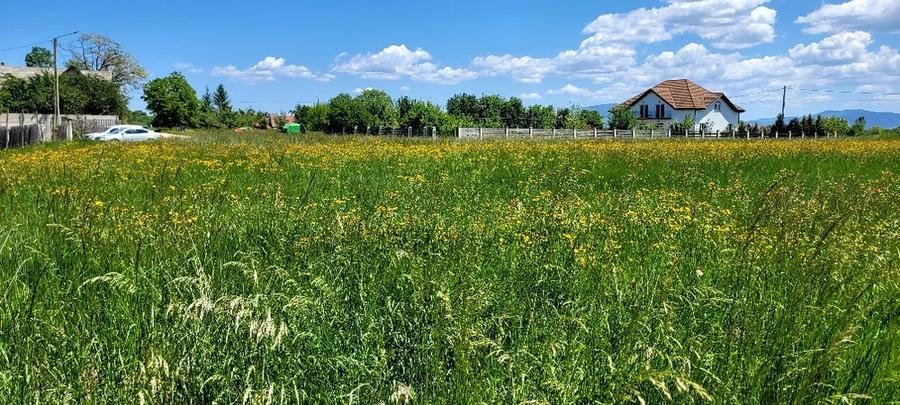 Teren Intravilan Podul Olt - 5