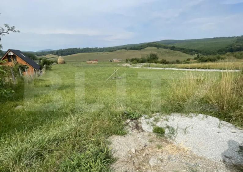 Teren de vanzare zona Subcetate, aproape de str. Tarp - 1