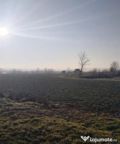 Vand teren intravilan 4000MP cu dechidere la Delta Neajlovu - 2