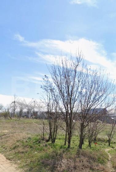 Teren 500 mp intravilan investitie, Malu Mare - 1