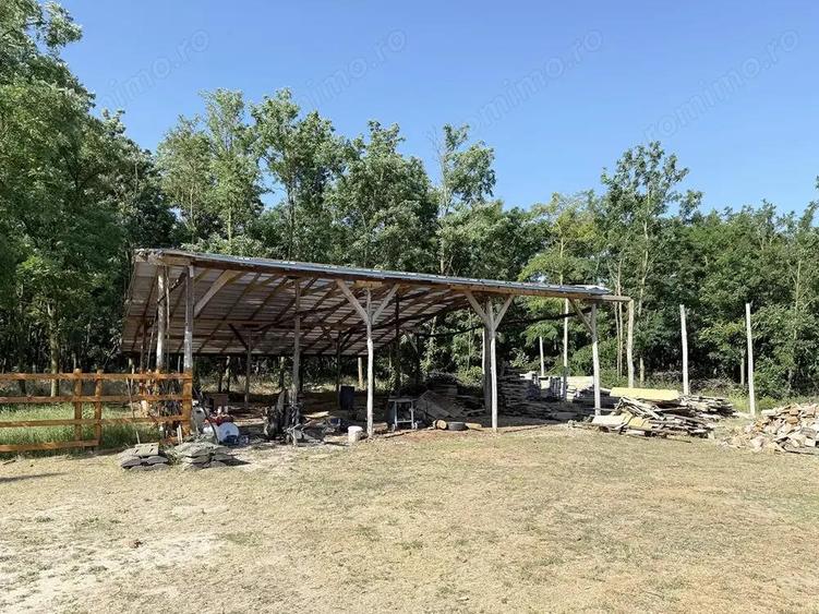 Catun Ferma autorizata Tip A pentru cresterea porcilor - IMOBIHOR - 7