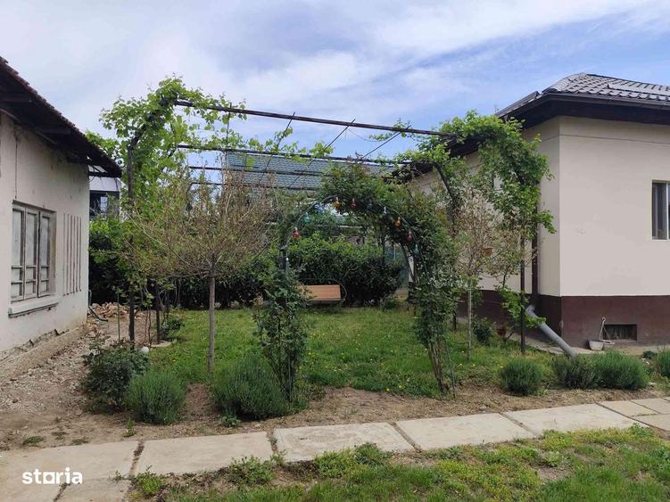 Albesti, Simnicu de Sus- Casa batraneasca cu teren de 542 mp - 4