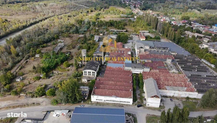 Platforma Industriala-8 ha -Fabrica-Hale Productie-21.500 mp - 8