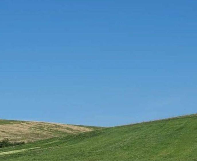 Cota de 1/2 din teren extravilan, comuna Rogova, Jud Mehe... - 6