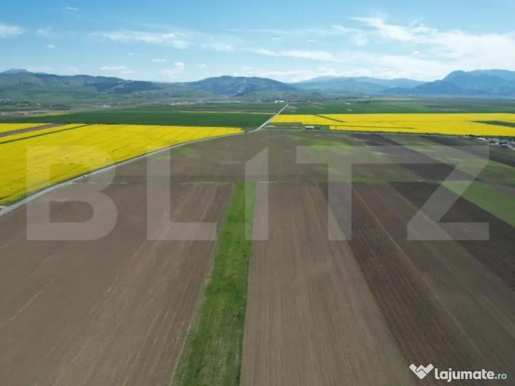 Teren extravilan, 17700mp, zona Prejmer - 10