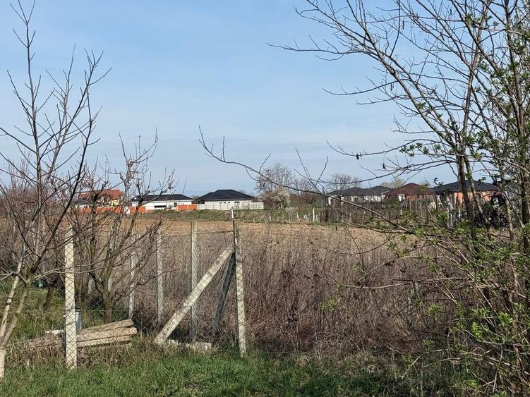Ofer Teren intravilan 86 Arii spre vanzare la intrare in Vetis - 7