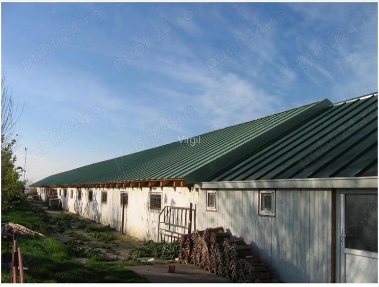 Vand hala multifunctionala Varias