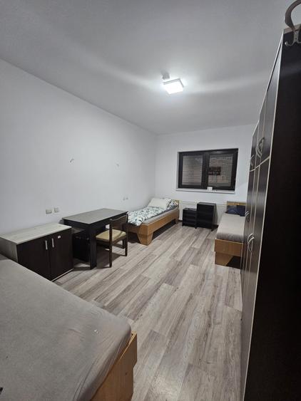 Proprietate speciala Dumbravita - casa individuala !! - 19