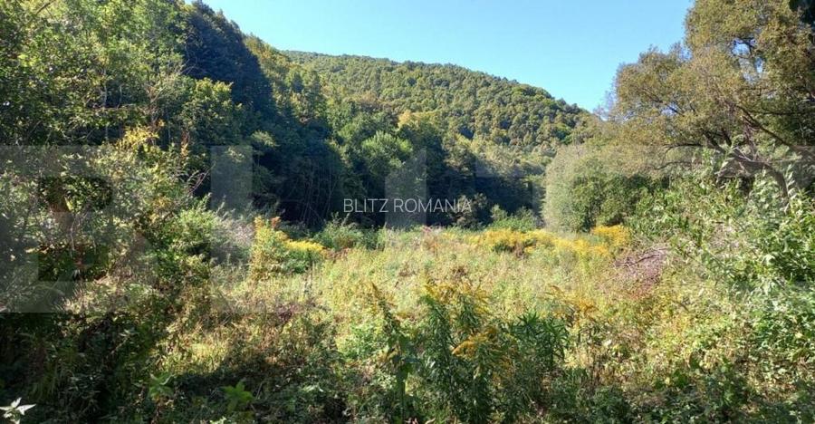 Teren intravilan in zona Valea Ierii, 9691 mp, front 84,71ml Teren intravilan in zona Valea Ierii, 9691 mp, front 84,71ml