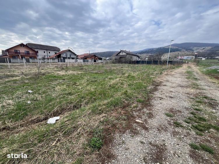 Teren Intravilan Micesti - 1