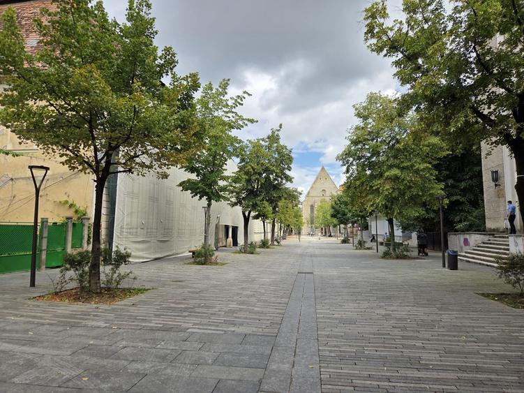 Apartament spectaculos  de vânzare în Palatul Teleki – Clădire monument  istoric - 12