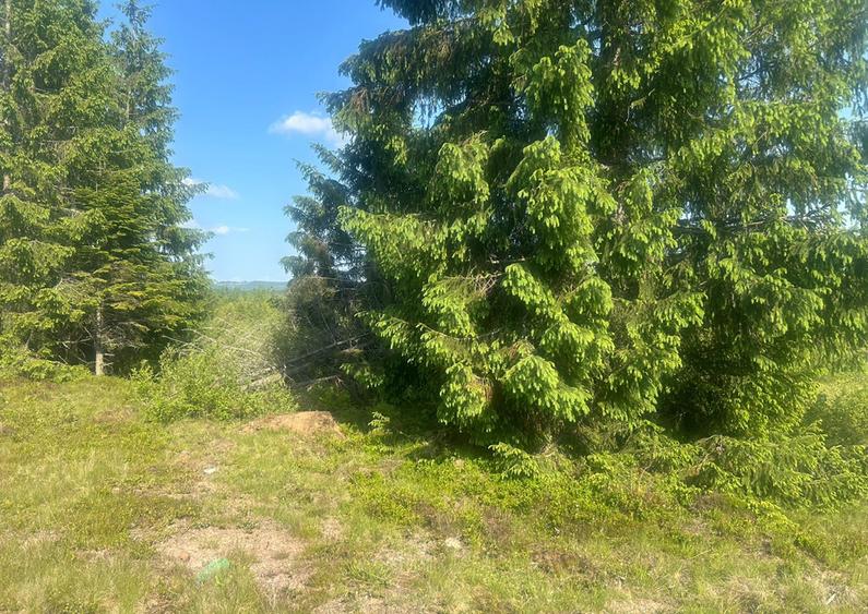 Teren Belis 1000mp - 8