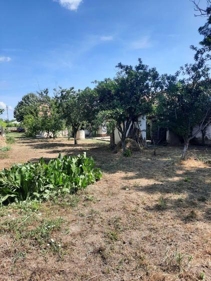 Vand Casa+teren oras Amara, Ialomita - 2