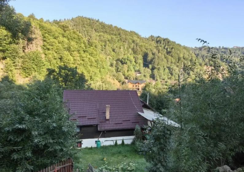 Vila/ pensiune - 11 camere - Moieciu de jos - 2