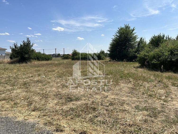 Parcela de teren 916 mp, front stradal 20 ml, Dumbravita - Lac. - 2