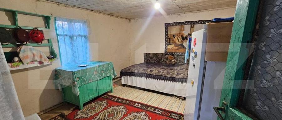 Casa rustica (62mp) in sat Magura cu 1000mp teren si anexe! - 5