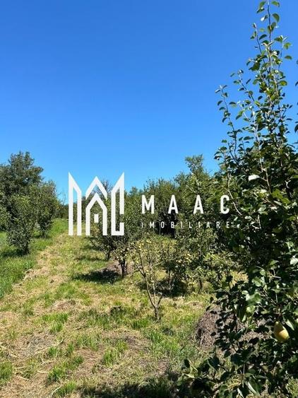 Casa 3 camere I Acces auto I Teren 1.177 mp I Cisnadioara - 7